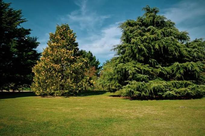 Village Park Танділ Екстер'єр фото