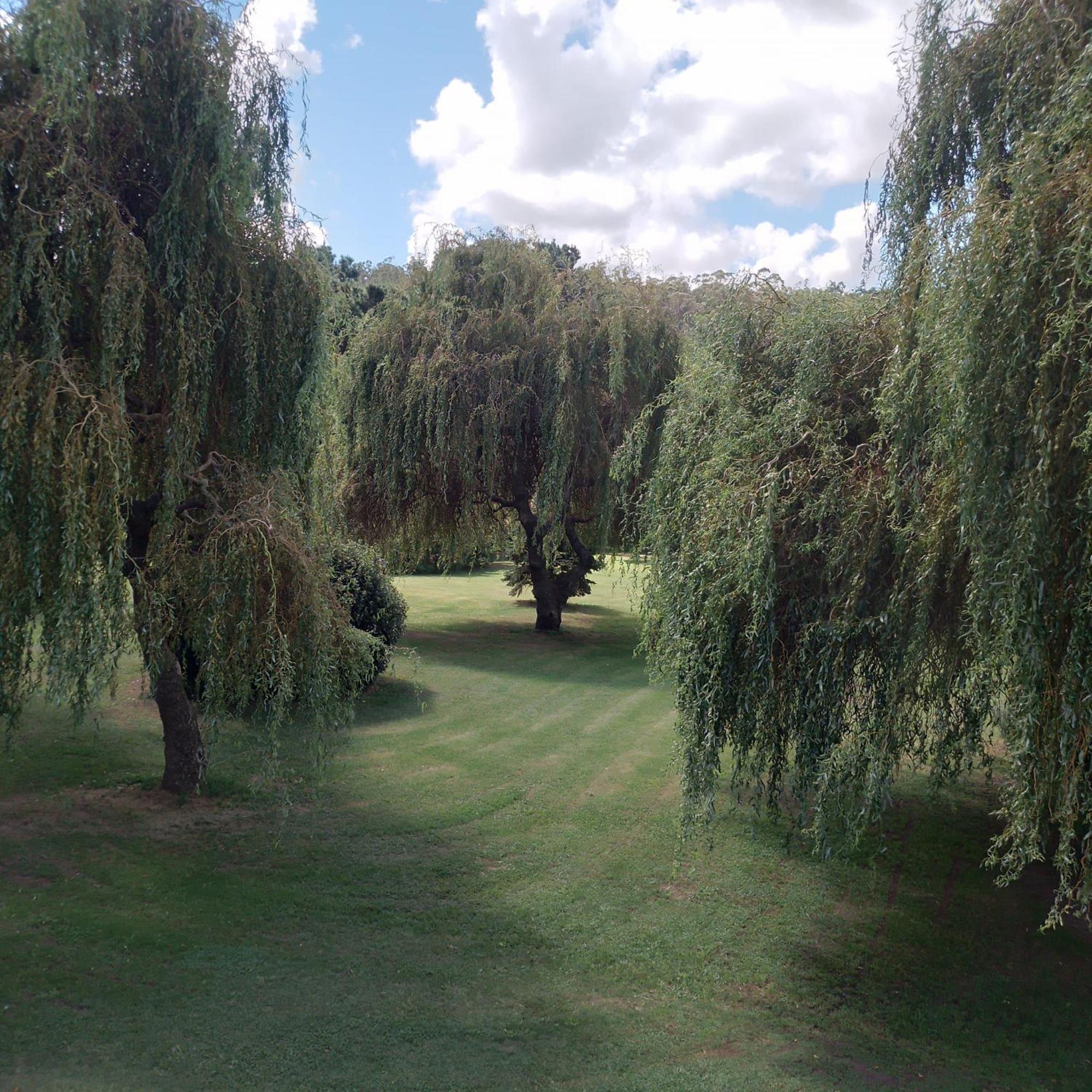 Village Park Танділ Екстер'єр фото